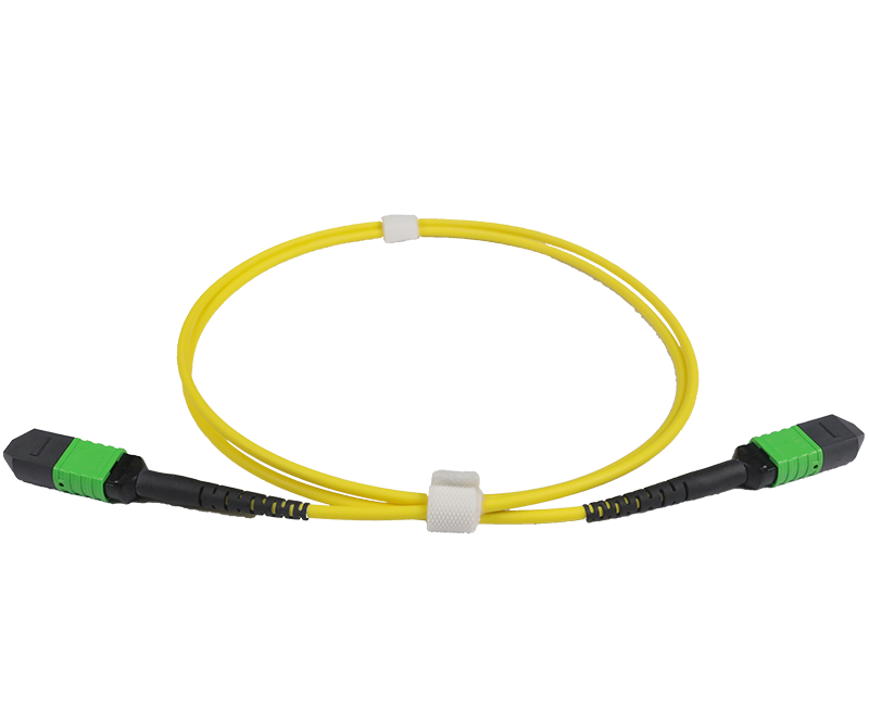 Optical Transceivers Accelink  |  Lighting Your Dreams
