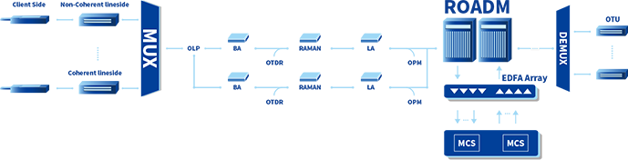 Optical Transport Networks 1xbet官网科技  |  让光引领梦想